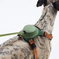 CaniPaw™ TrailBuddy Leash & Treat Harness System