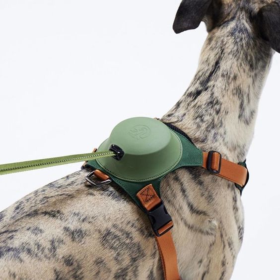 CaniPaw™ TrailBuddy Leash & Treat Harness System