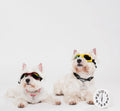 CaniPaw™ Adventure Dog Goggles