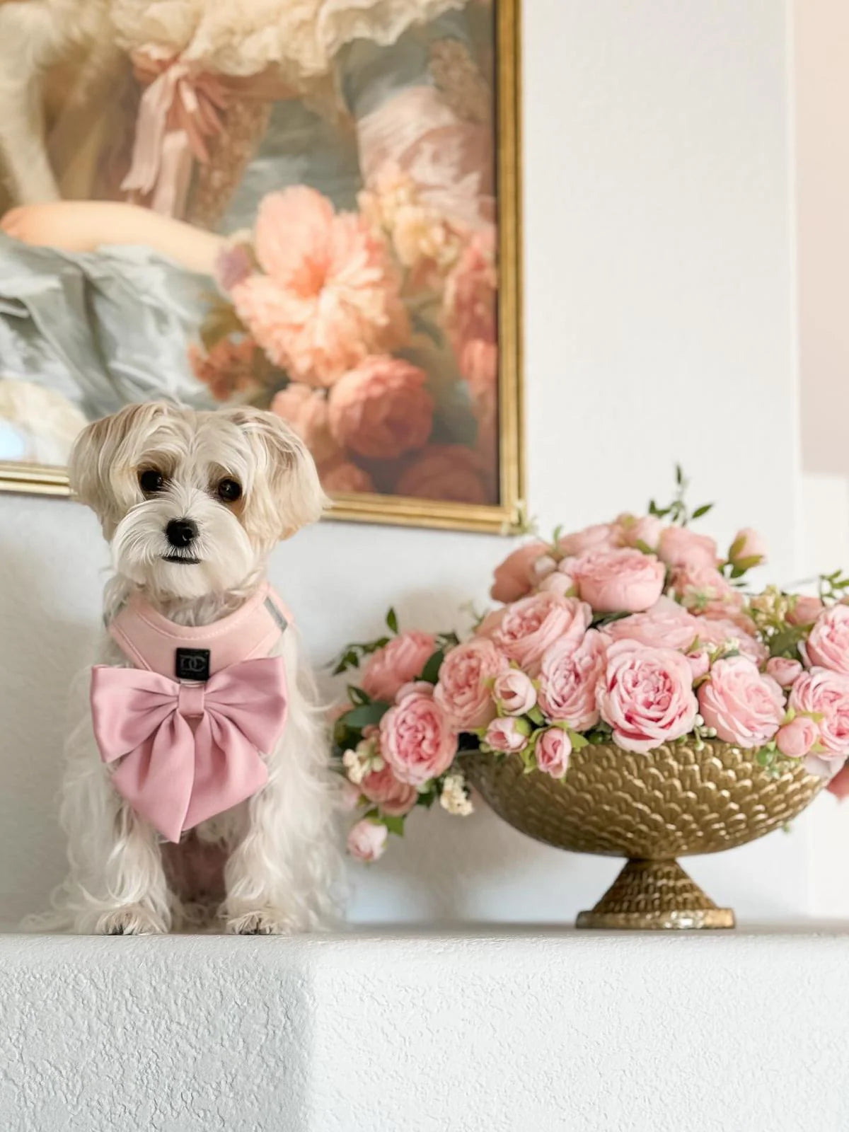 CaniPaw™ Blush Belle Bow Harness