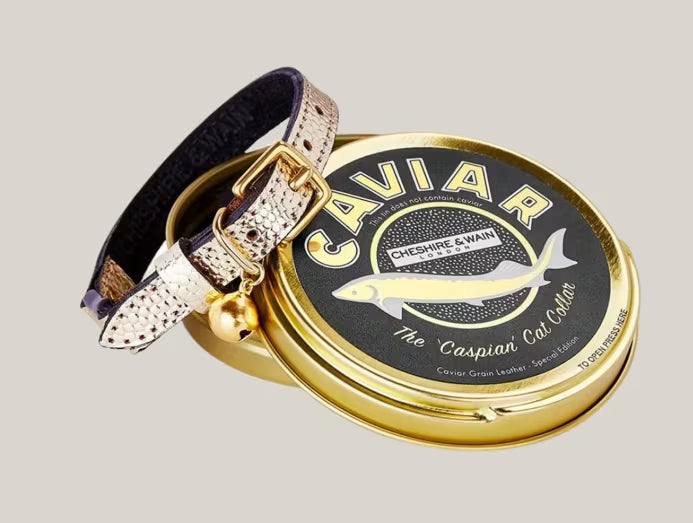 CaniPaw™ Luxe Runway Harness Collection