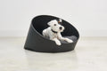 CaniPaw™ Orbit Lounge Dog Bed