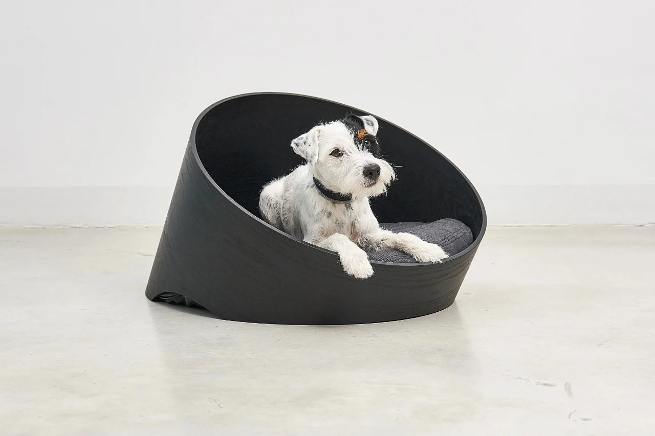 CaniPaw™ Orbit Lounge Dog Bed