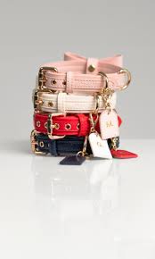 CaniPaw™ Signature Leather Collar Collection