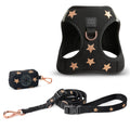 CaniPaw™ Stardust Harness & Leash Set