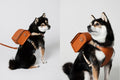 CaniPaw™ RoverPack Adventure Harness